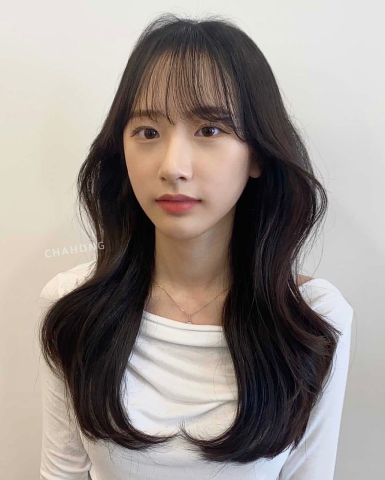 차홍투어 이미지