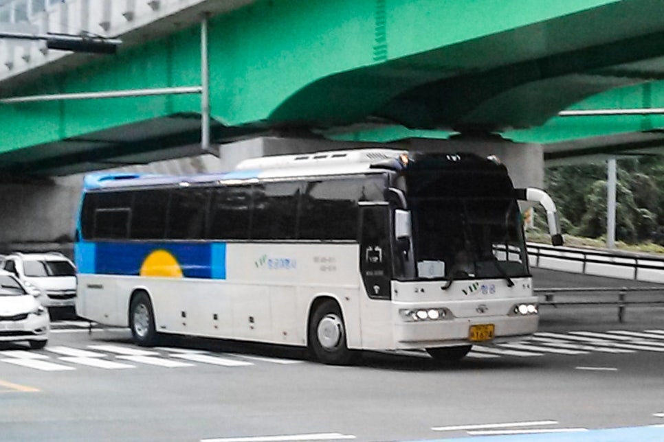 대우여행사 이미지