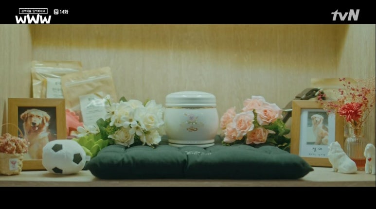 카페바라기 이미지