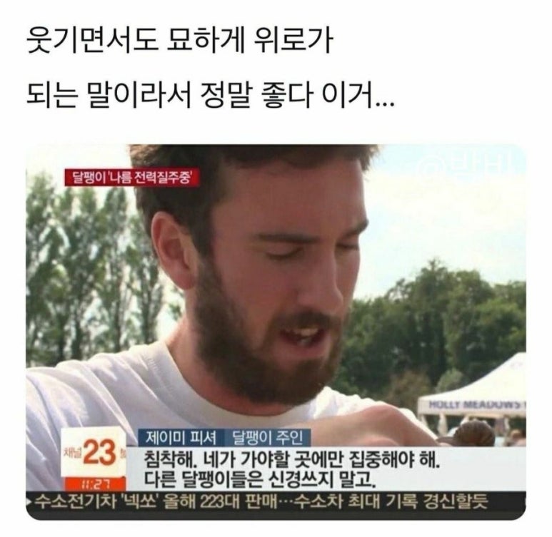 (주)나의여행 이미지