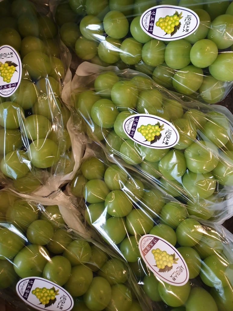 강남fruit 이미지