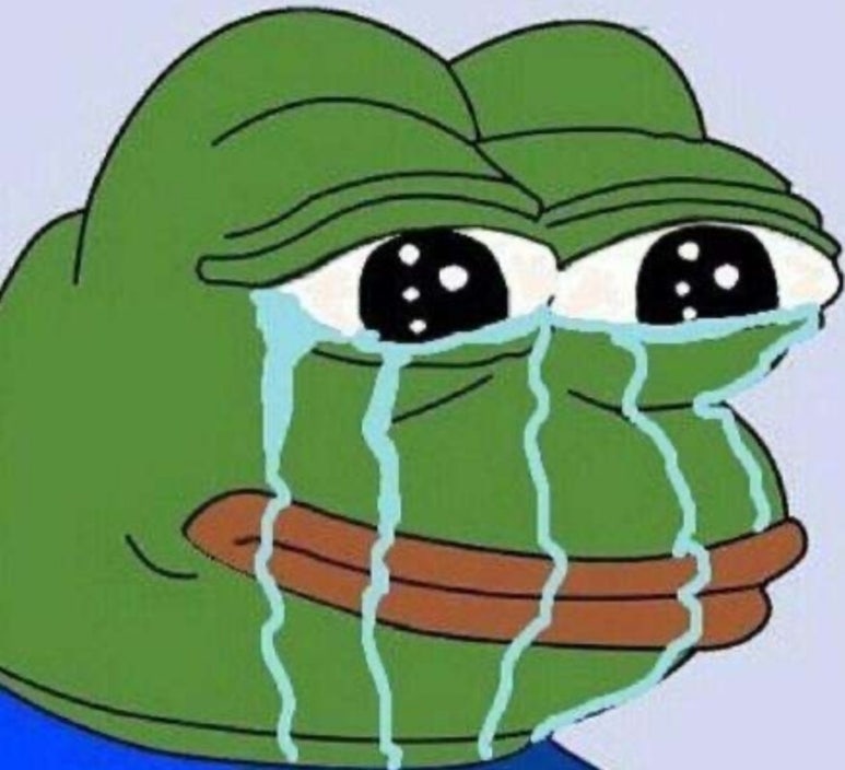 브라운칩 이미지