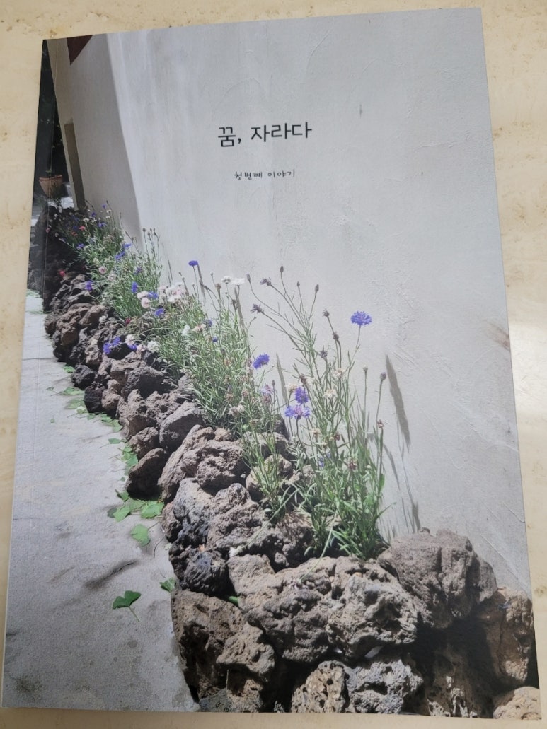 꿈자라다 이미지