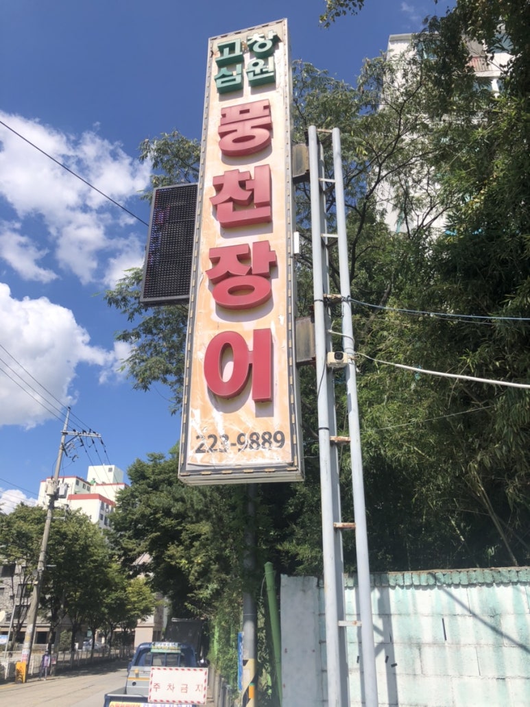 심원장어 이미지