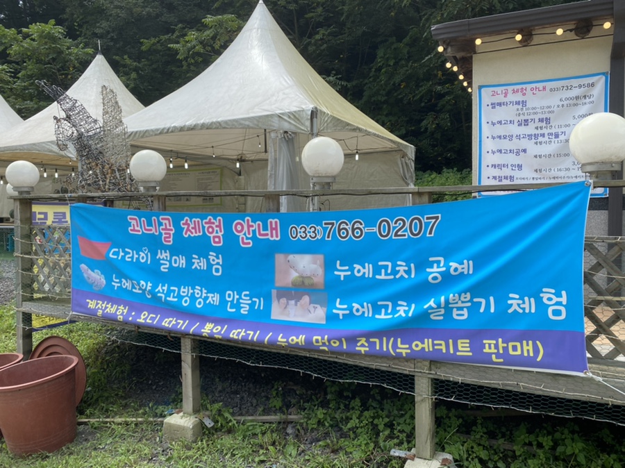 고니골농장 이미지