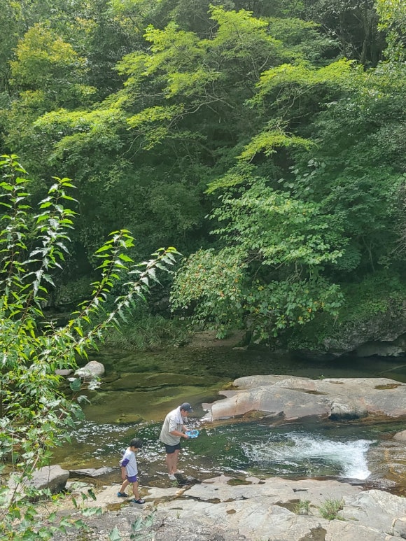 포안캠핑 이미지