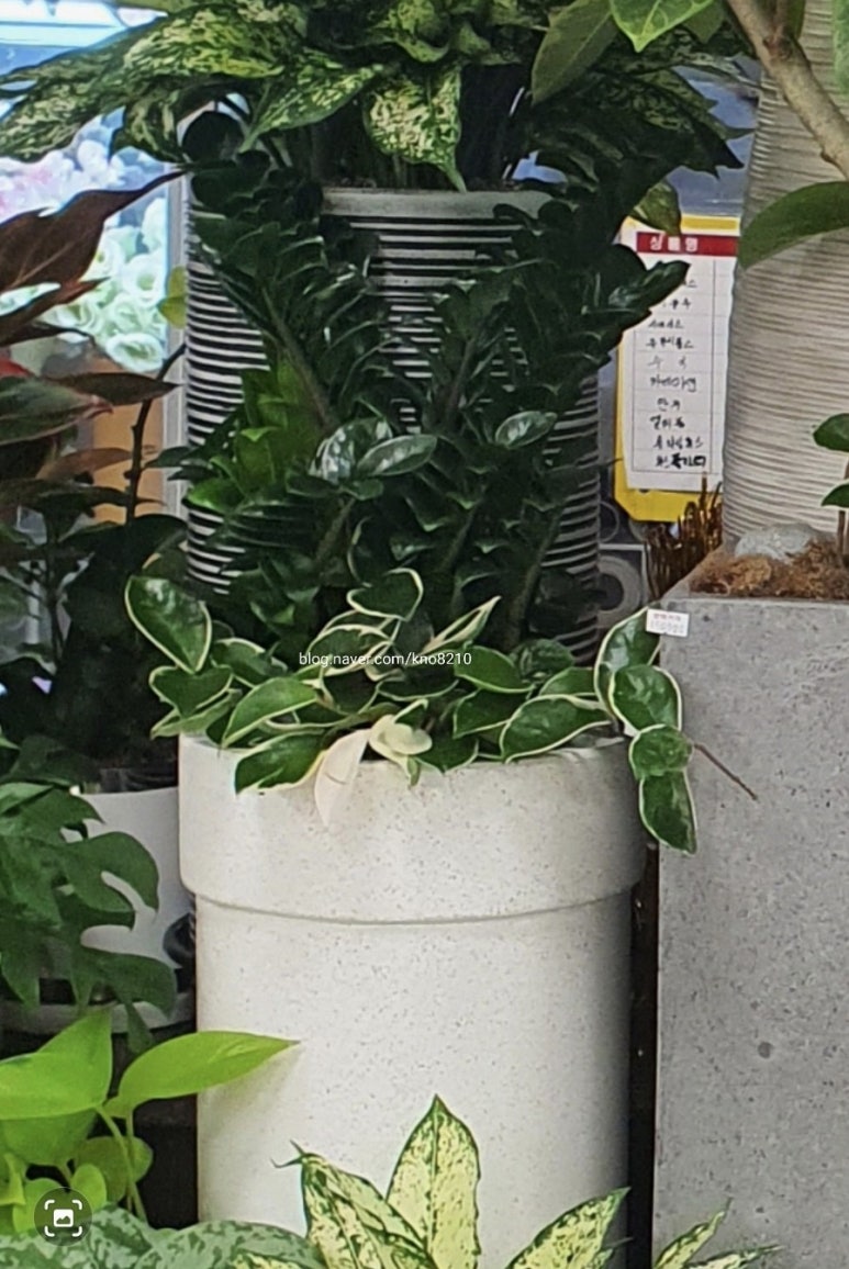 플러스화원 이미지