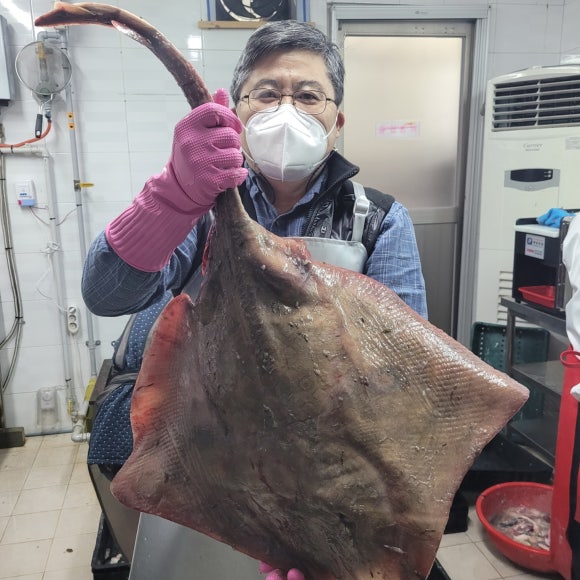 네모선장 이미지