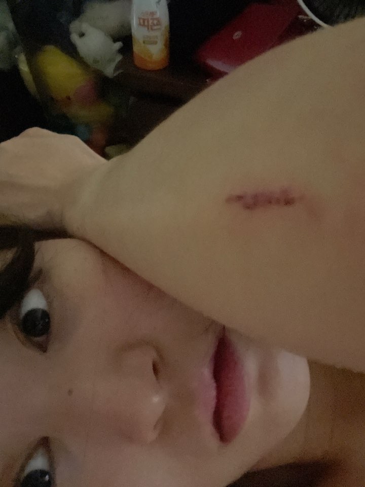 캐사르 이미지