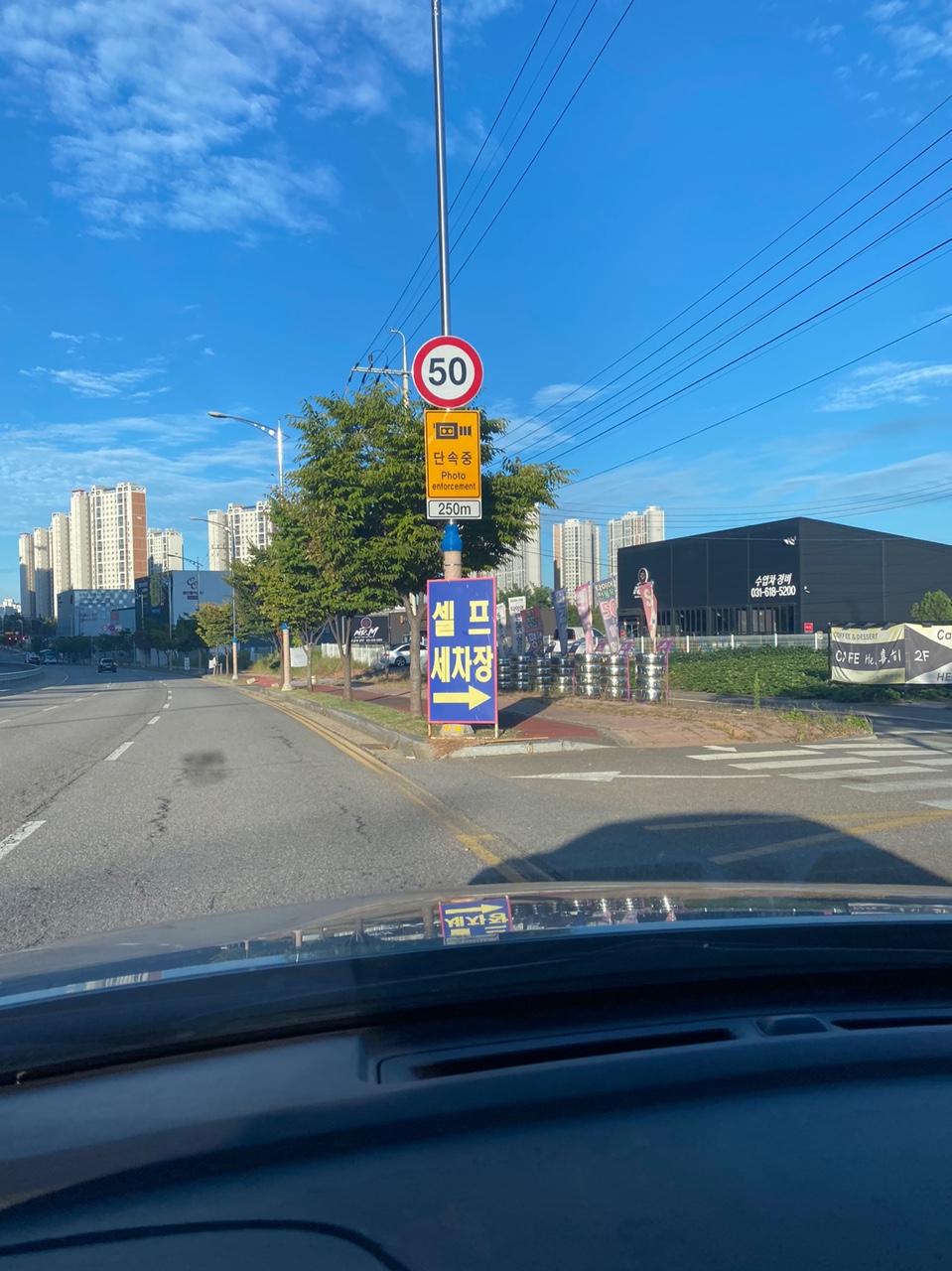 평택셀세모 이미지