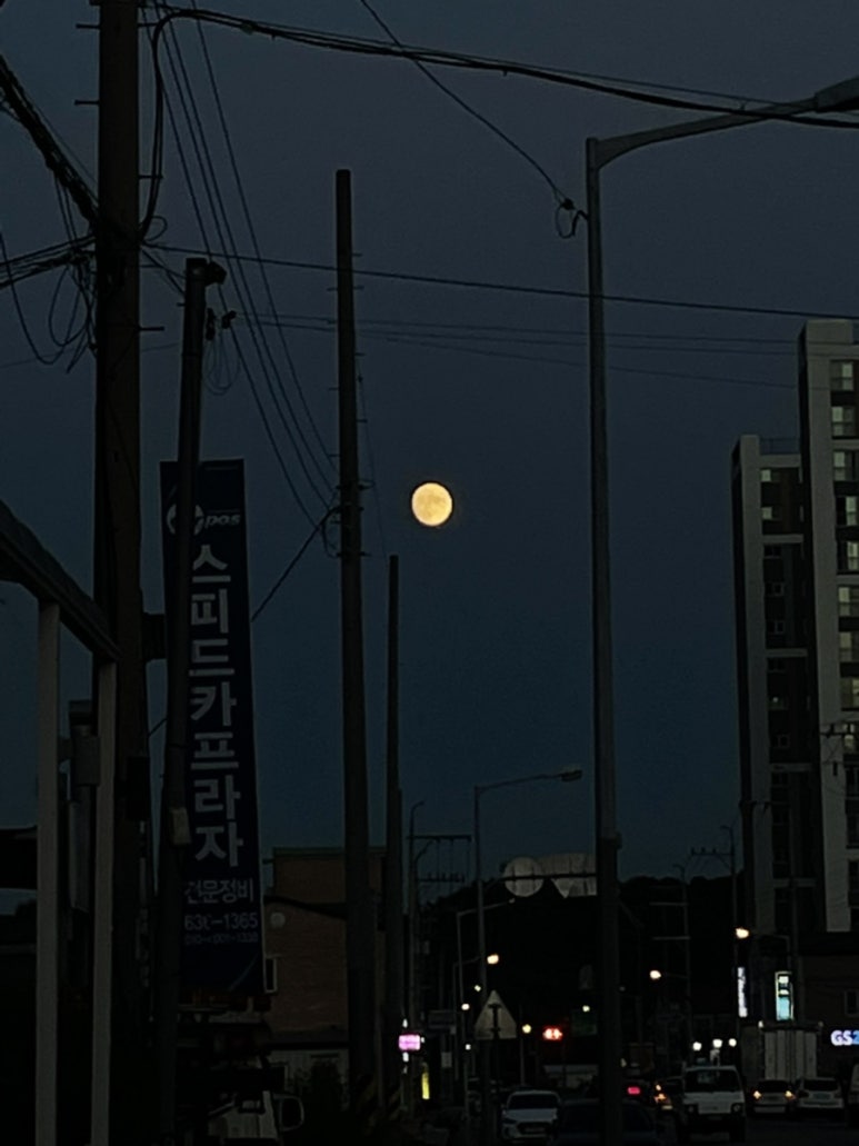 스피드카프라자 이미지