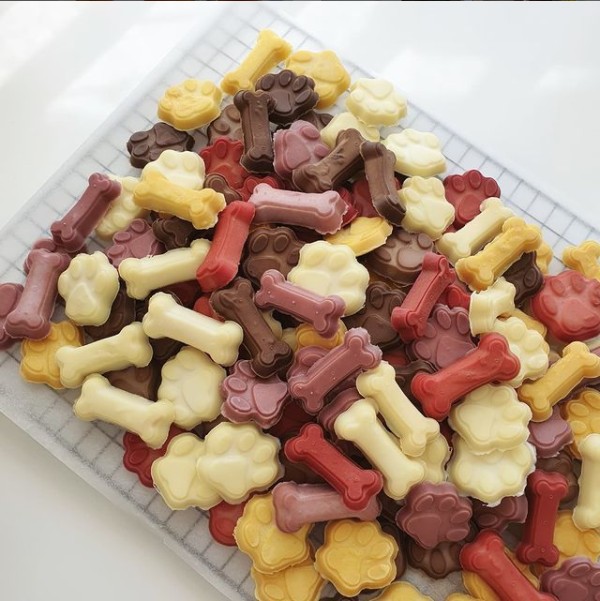 치치까까 이미지