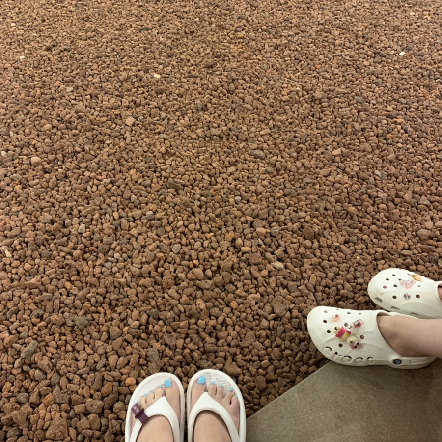 다복향 이미지