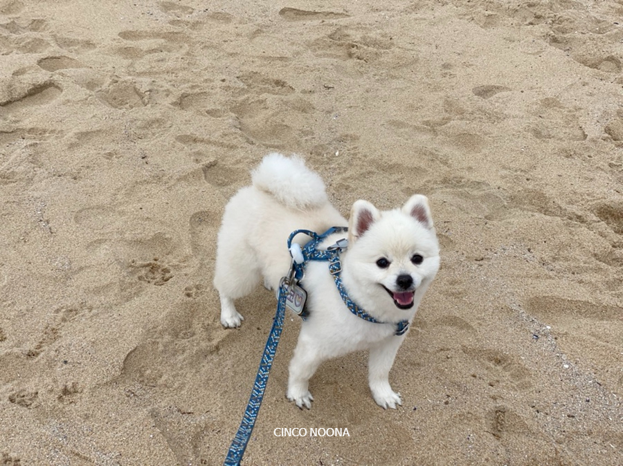 한진수산 이미지