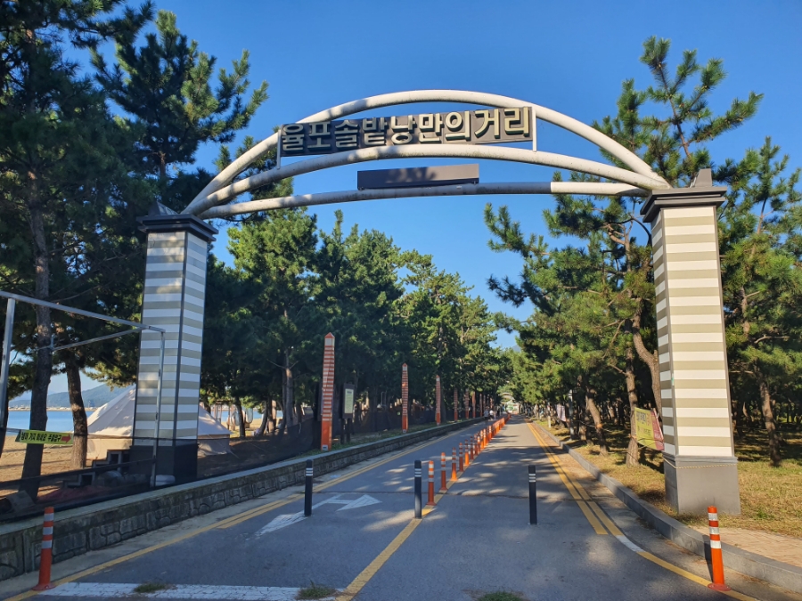보성회수산 이미지