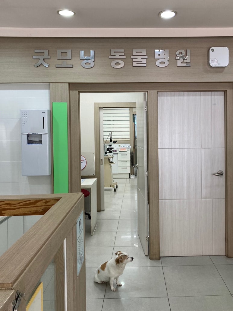 굿모닝24시 이미지