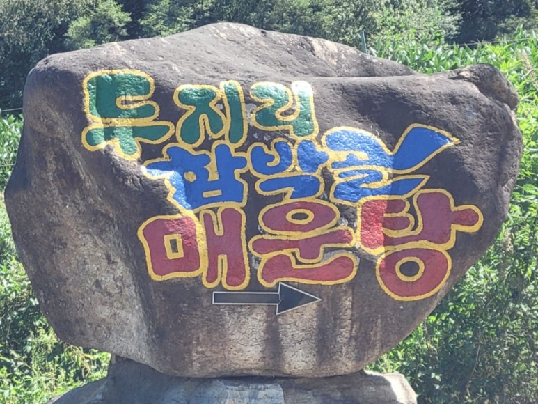 두지리함박골매운탕 이미지