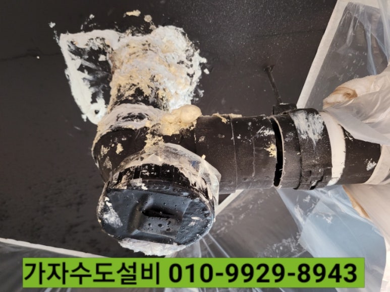 청춘포차 1994 이미지