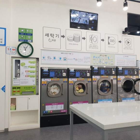 크린토피아코인워시울산 이미지