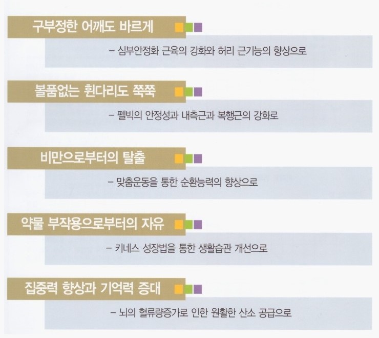키네스 이미지