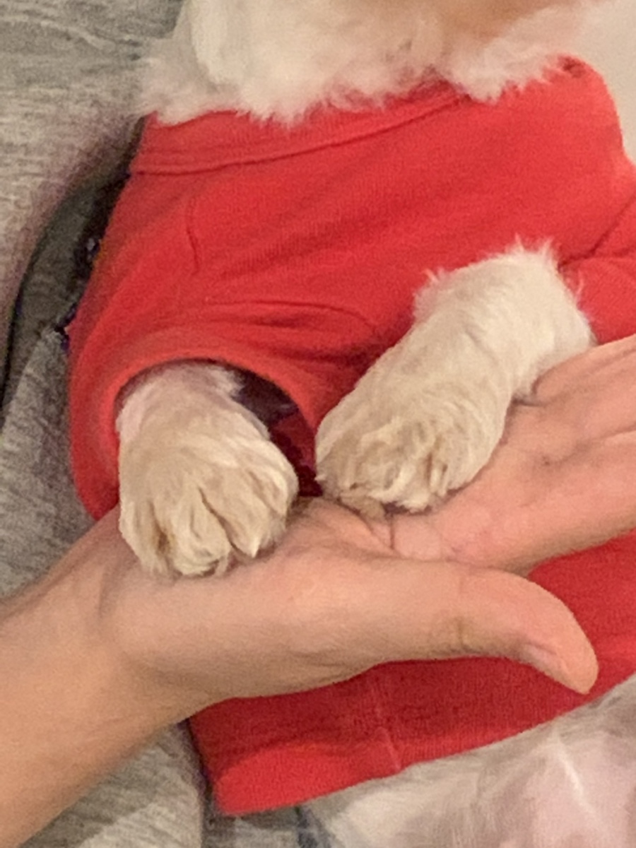 다복향마라탕 이미지