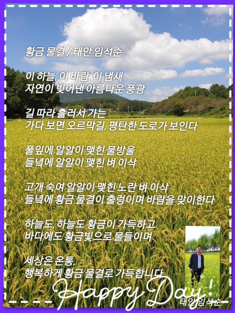 황금물결 이미지