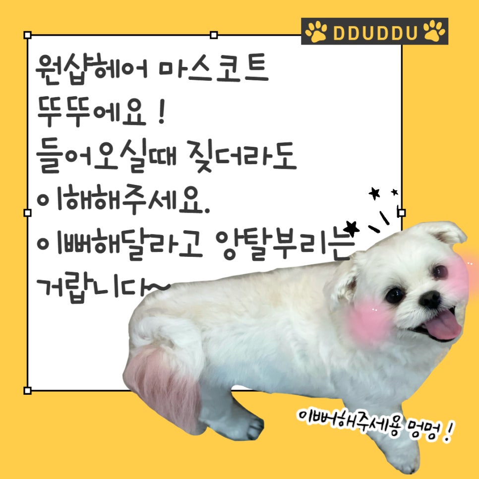 원샵헤어(1#헤어) 이미지