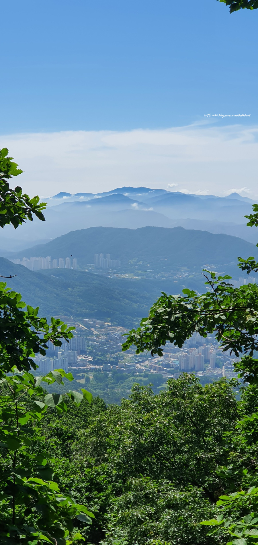 천마산메밀가 이미지