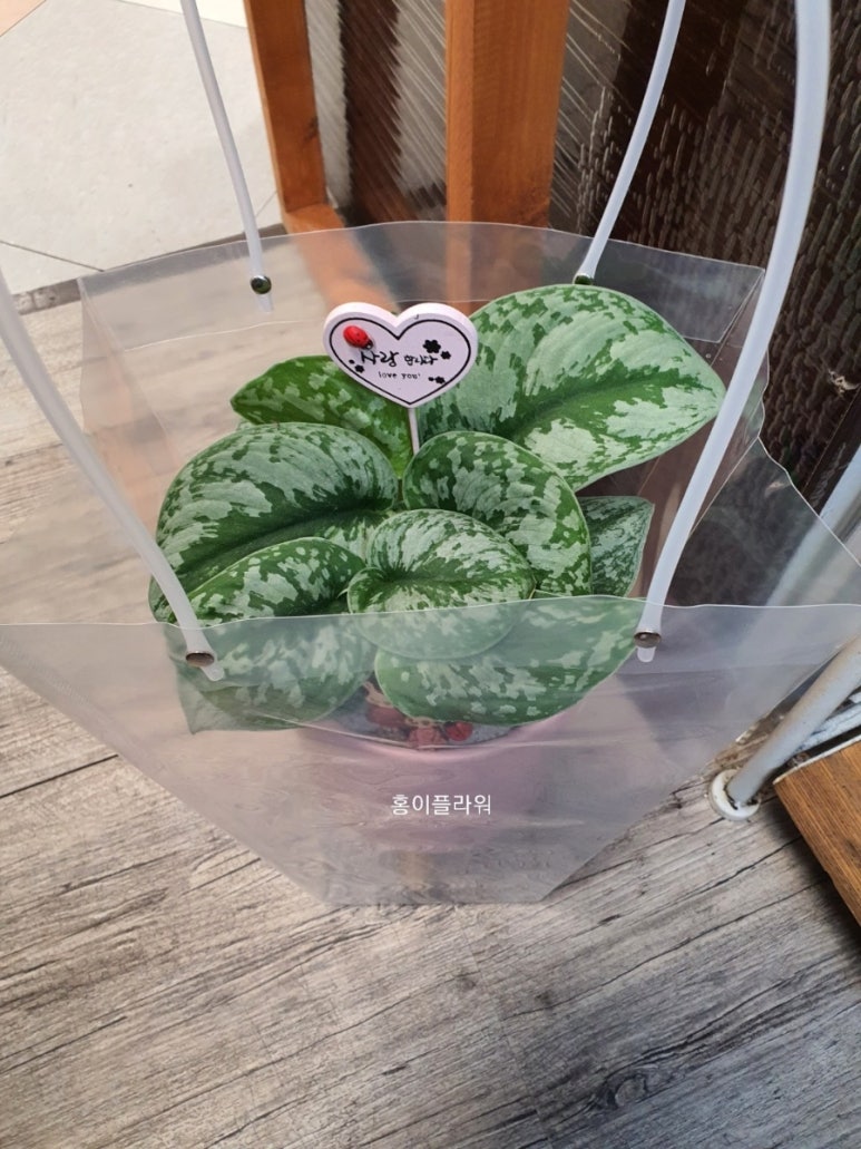 플러스화원 이미지