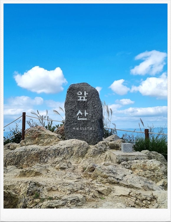 앞산으로 가는길 이미지