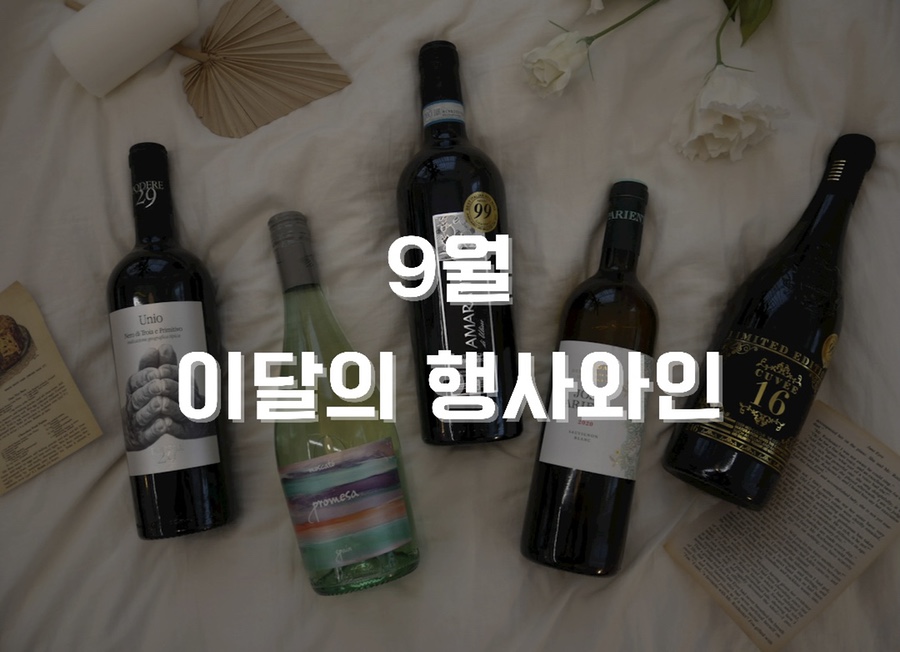 선상주류아울렛 이미지