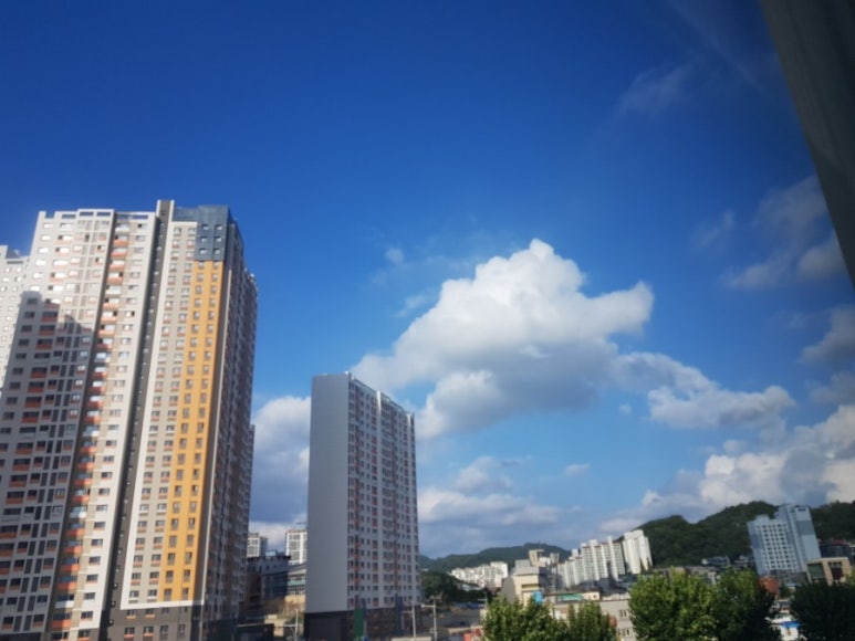 새벽법무사사무소 이미지