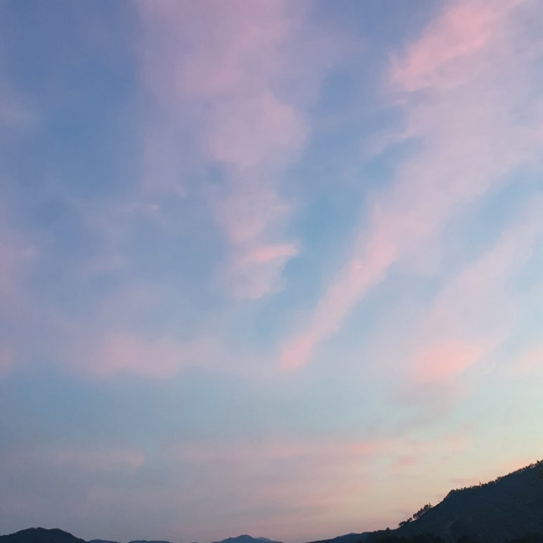 카페진안 이미지