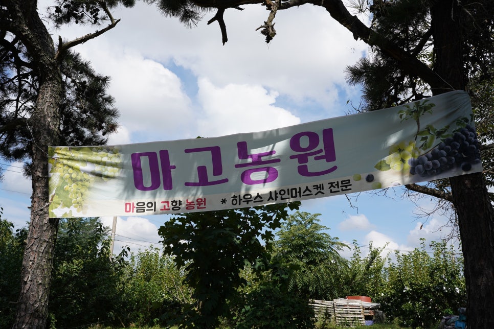 마고농원 이미지