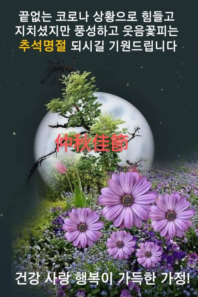 영동타이어 이미지