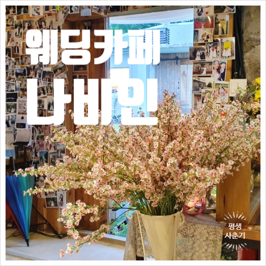 나비인카페 이미지