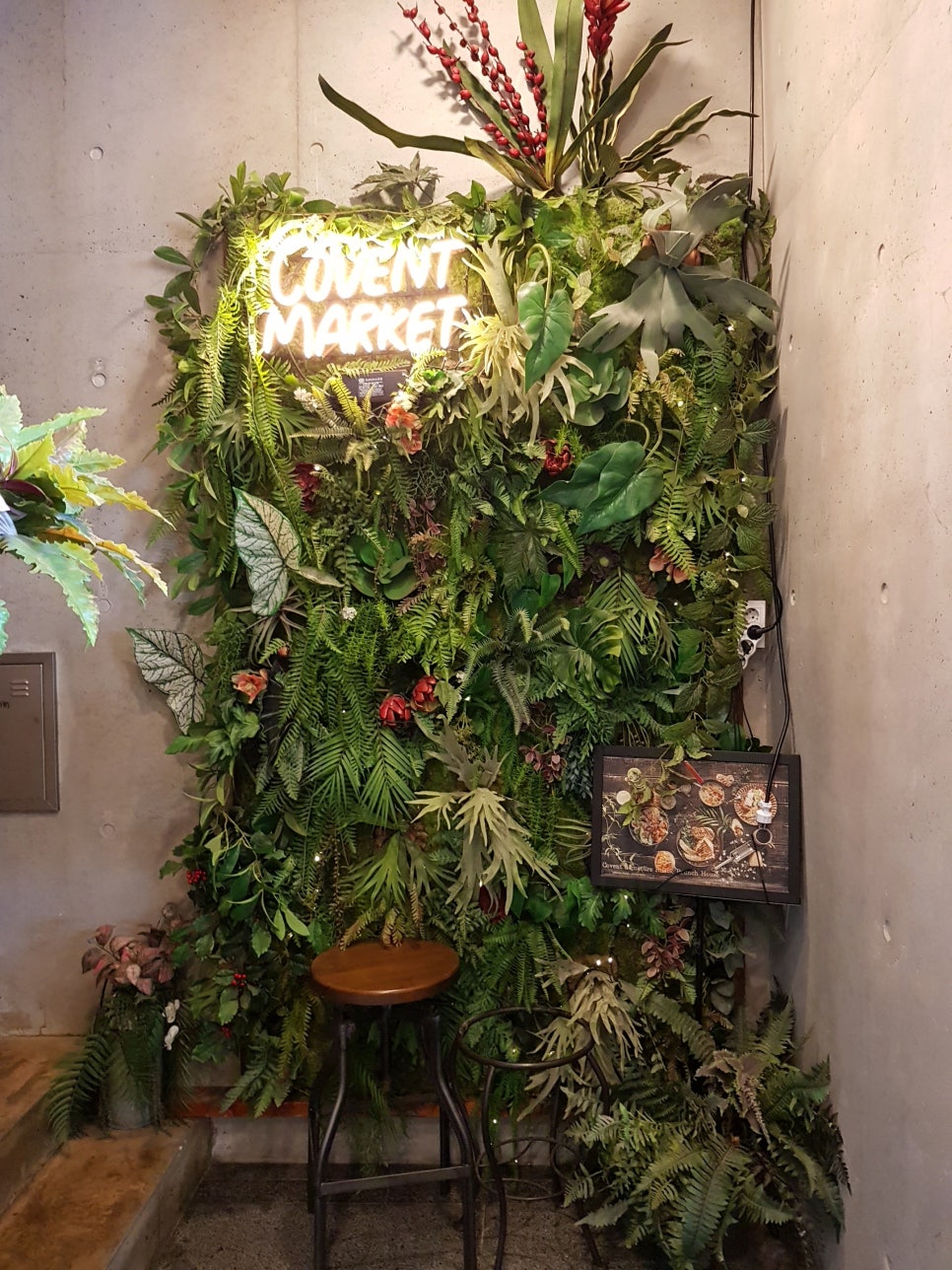 오니마켓 이미지