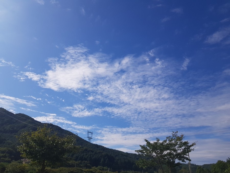 자연매운탕 이미지