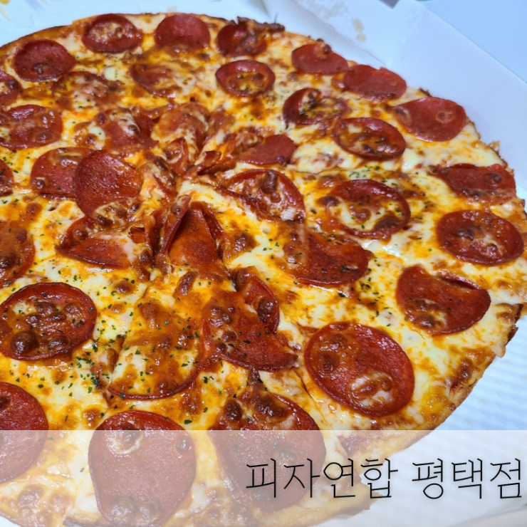 피자유니온 이미지