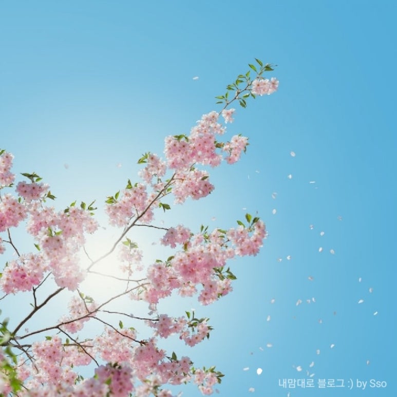 아이메디 이미지