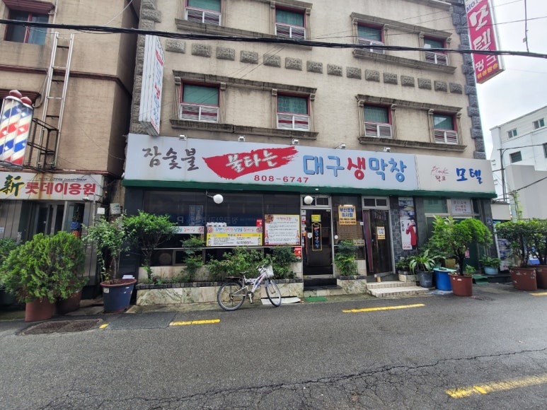 참숯불불타는대구생막창 이미지