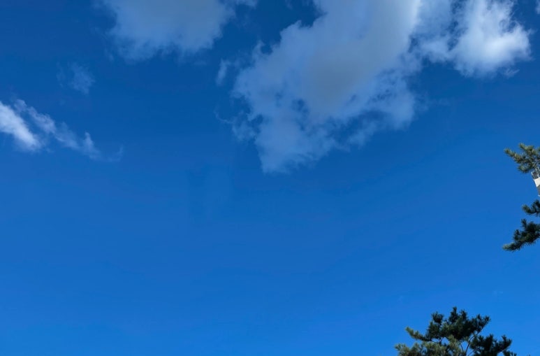 헬로밀 이미지