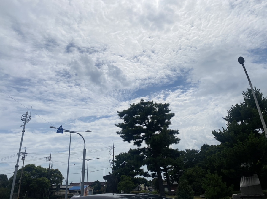 일로스탠다드 이미지