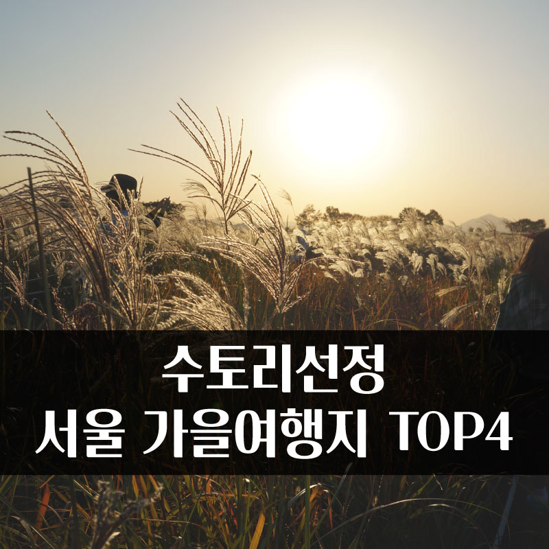 여행수토리 이미지
