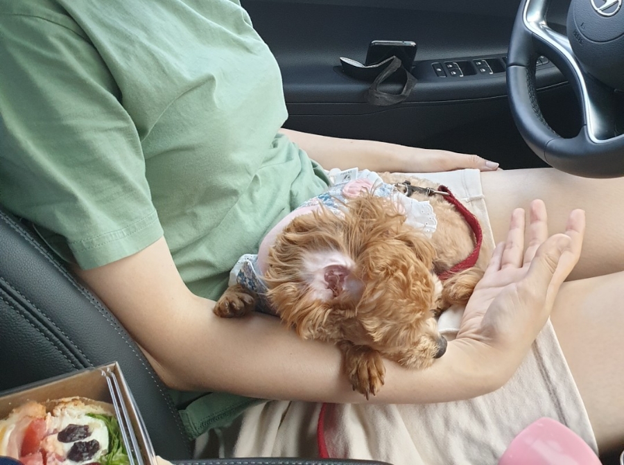 커피에반하다한대앞역점 이미지