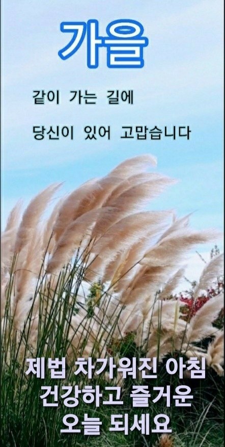 낙중지생 이미지