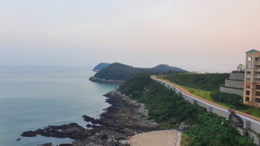 진도순대 이미지