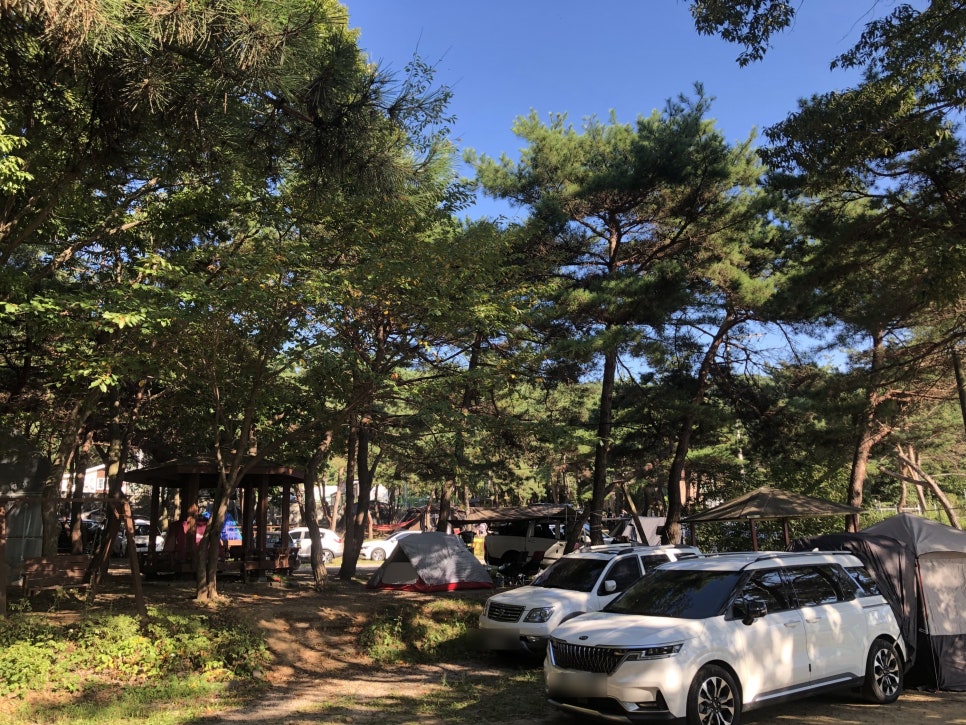 명성리조텔 이미지