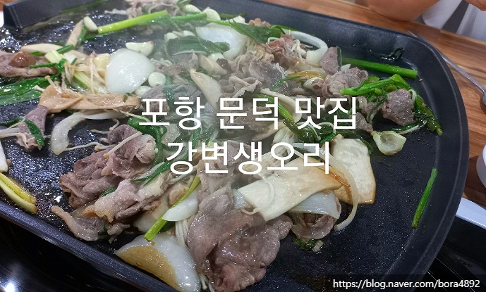 강변생오리 이미지