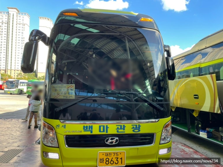 백마고속관광 이미지